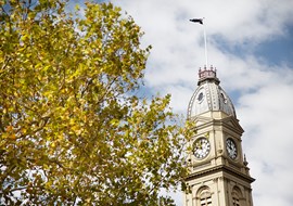 Cotality Home Value Index November 2025: Why Land Prices Are Rising Faster in Some Cities