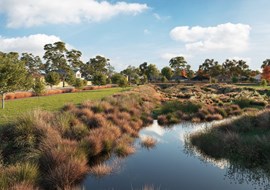 Westpac-Melbourne Institute Consumer Sentiment Index Statement - Oliver Hume